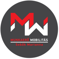 Munkaerő mobilitás -  Dr. Sebők Marianna